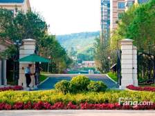 合生江山帝景 精装修,院,依山傍水环境好 养生市场近