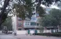 南卫里实景图