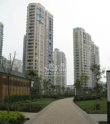 实景图