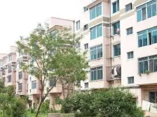 绿荫公园 精装复式拎包入住 诚心出售看房方便