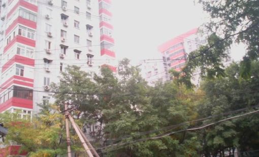  ��������1��1��1���ϳ���5500.00Ԫ/�³��� 