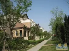 普罗旺世小高层 一梯两户 方正四房