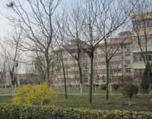 石油新村一区3室1厅南