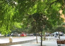 蒲安北里2室1厅西北