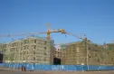 同泽园实景图