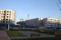 同泽园实景图