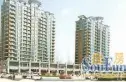 隆鑫四合田园实景图