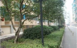 马厂地铁口居家两房,南北通透,两证齐全,诚意出售。