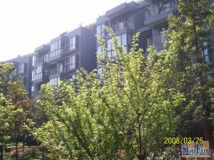 融城小区4室2厅南北