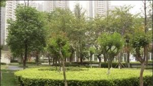 水榭花都2室1厅东南南