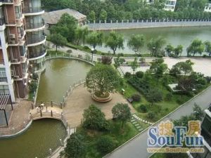 省委 向阳湖旁 花园小区 精致三居室 闹中取静