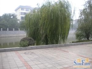 省委,向阳门弟,司法厅,袁家岭,四房大户型