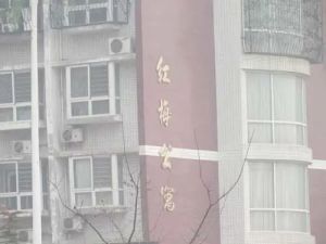 八方商圈红梅公寓两室电梯房房主诚心卖价可议