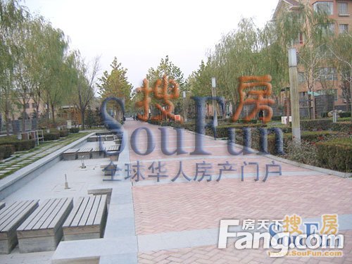 奥林匹克花园四期实景图