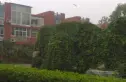 金华园别墅实景图
