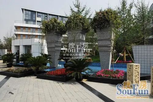 专家国际花园实景图