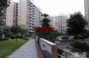 四季名苑实景图