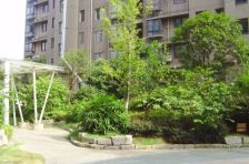 丽景新贵4室2厅南