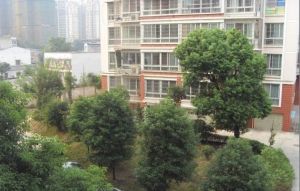 龙王港社区2室1厅东南