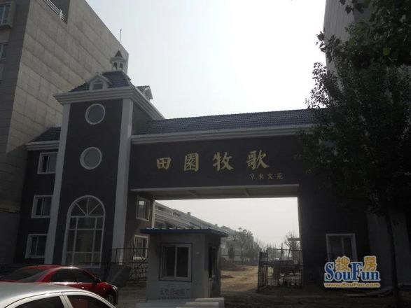 田园牧歌实景图