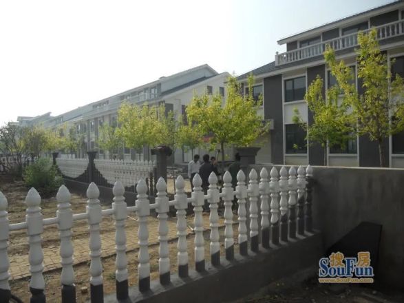 田园牧歌实景图
