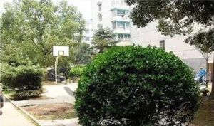 马王堆地铁口南北通透大四房诚心出售