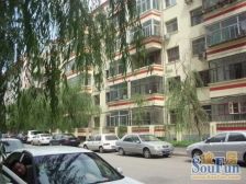 长沙市忠心大户型5房2卫省建苑大厦电梯房8楼楼层好