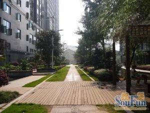 芙蓉区浏阳河边芙蓉公寓带电梯自住精装4房诚心急售