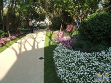 花园电梯洋房 龙湖花盛香醍5室3厅 南北通透 高楼层 采光好