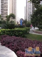 泉塘小区C区3室2厅南