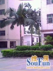 岳麓区教师村3室2厅南