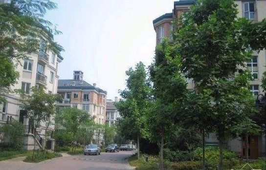 小区相关图