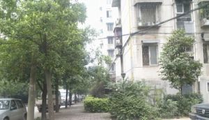 骆家坝小区3室1厅南