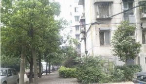 骆家坝小区2室1厅南