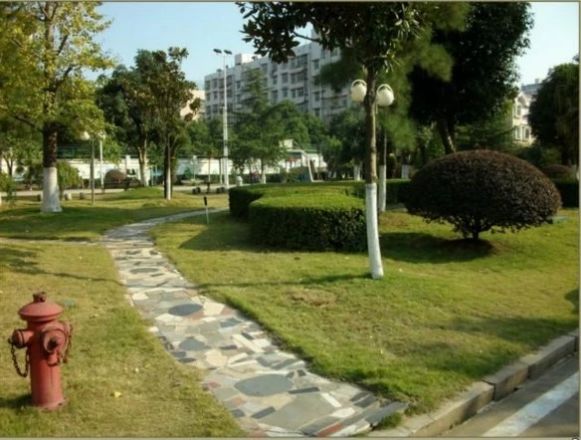 泰格林纸单位房实景图