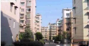 湘樟园3室2厅南北