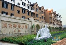 顶秀美泉小镇B区电梯房带隔层南北通透户型方正