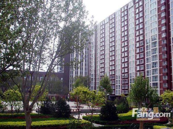 艺苑·桐城实景图