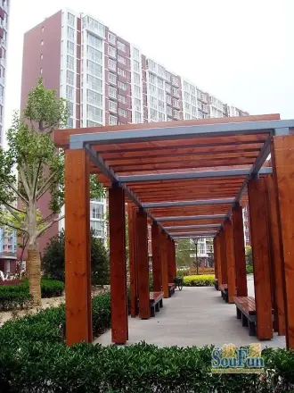 艺苑·桐城实景图