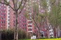艺苑·桐城实景图