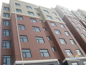 新华联麦迪逊亿利傲东商圈一楼带小院奢华装修全屋定制