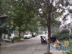 桐荫里小区 2室1厅 南