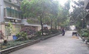 五一东村3室1厅南北