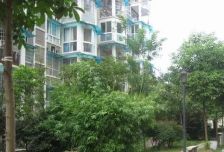 【马王堆新合村】| 长沙市芙蓉区马王堆新合七村安置住宅 B-4栋 604 号房
