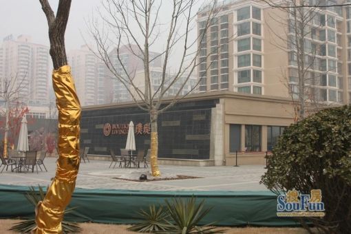  ���⡤�׿�豬v 4��2�� ��/�� 