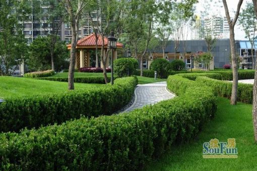  ��ׯ�׿�豬v����2�� 