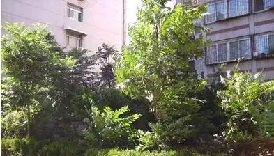 化纤厂路热电宿舍实景图