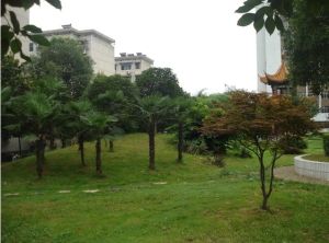 燕子岭社区3室2厅南
