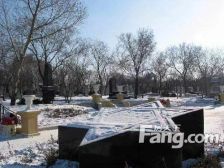 哈南小区 业主急售 价格可谈 看房随时