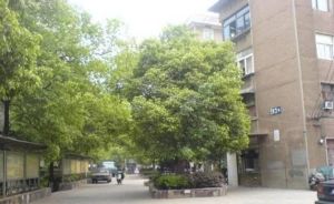 狮子山一片小区 2室1厅 南